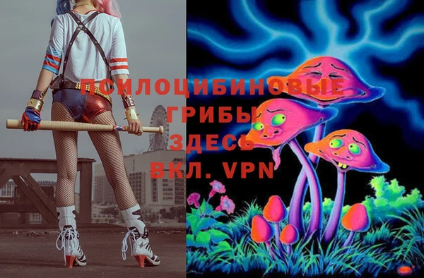 альфа пвп Елизово
