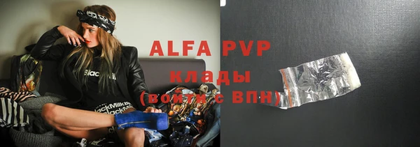 твердый Ельня