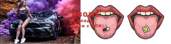 твердый Ельня