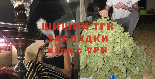 твердый Ельня