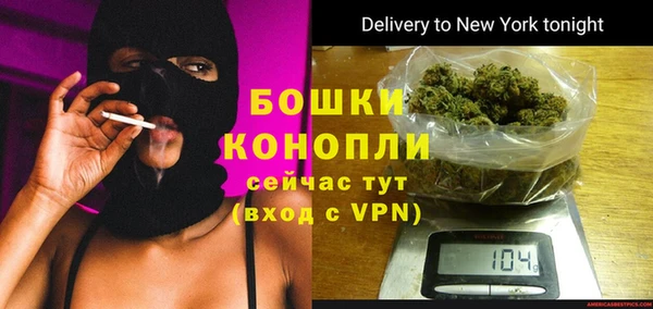 твердый Ельня