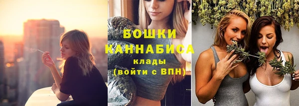 твердый Ельня